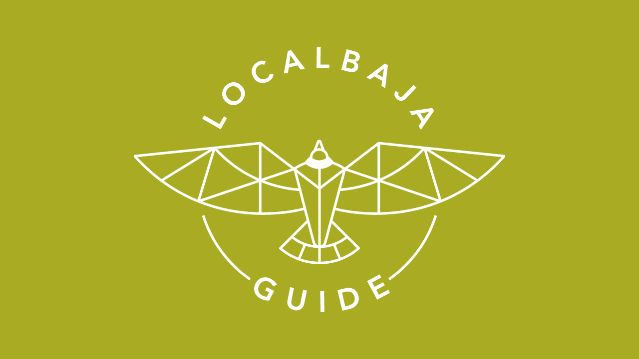 Shadia Wehbe Marketing Dental Local Baja guide